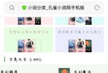 互站网48元买的小说程序源码 自动采集