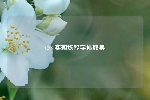 CSS 实现炫酷字体效果