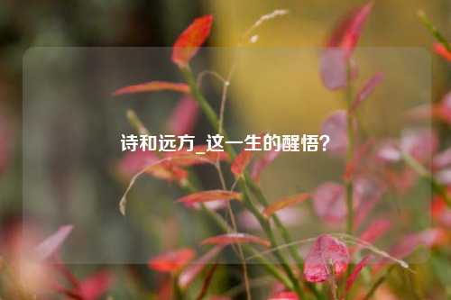 诗和远方_这一生的醒悟?